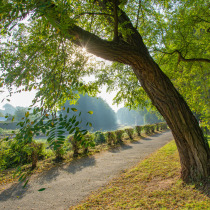 Prinzenpark in Braunschweig